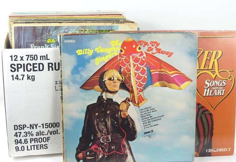 VINYL RECORD COLLECTION