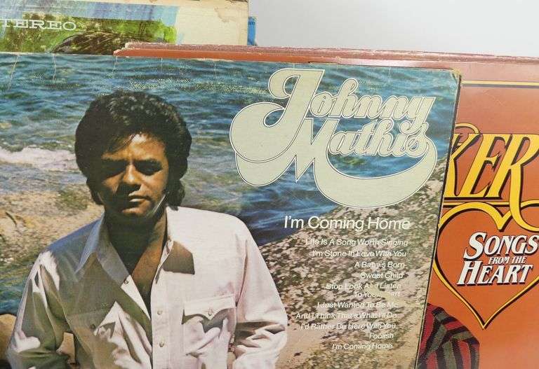 VINYL RECORD COLLECTION