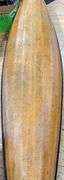 HAIDA CANVAS KAYAK