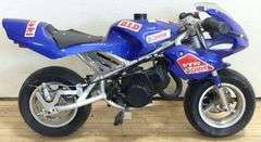 MINI POCKET BIKE