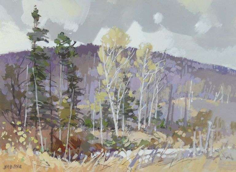 JIM BIRNIE