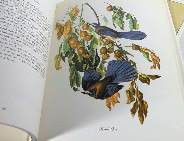 JAMES AUDUBON & J.F. LANSDOWNE VOLUMES