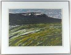 RON BOLT "ARCTIC SUITE #5"
