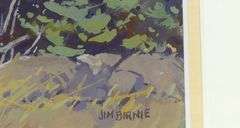 JIM BIRNIE