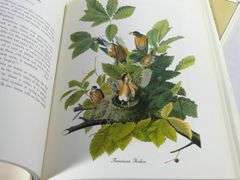 JAMES AUDUBON & J.F. LANSDOWNE VOLUMES