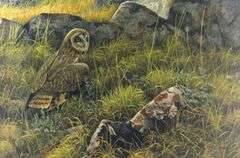ROBERT BATEMAN