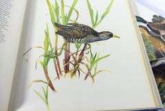 JAMES AUDUBON & J.F. LANSDOWNE VOLUMES