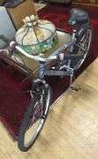 CARRERA "IMPULSE" BICYCLE WITH PUMP