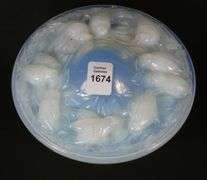 FRENCH ART GLASS BOX