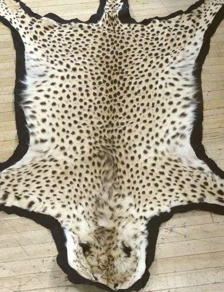 WILDCAT RUG