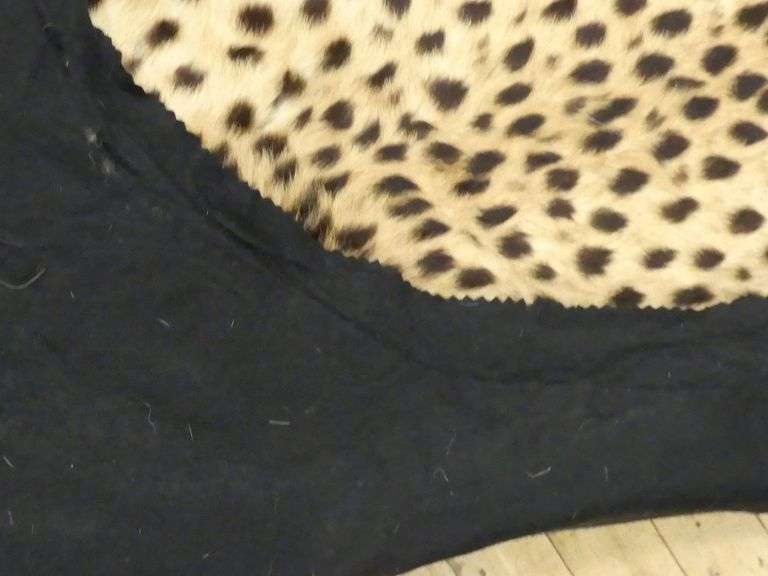 WILDCAT RUG