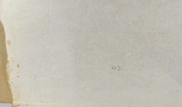 PAUTA SAILA STONECUT