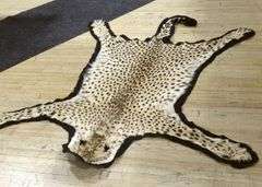 WILDCAT RUG