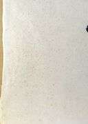 KENOJUAK ASHEVAK STONECUT