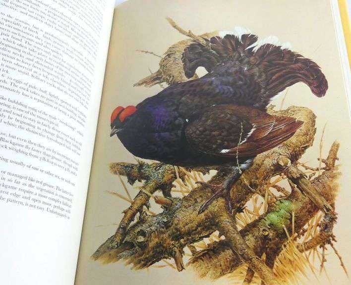 "GAME BIRDS" BY CHARLES COLES