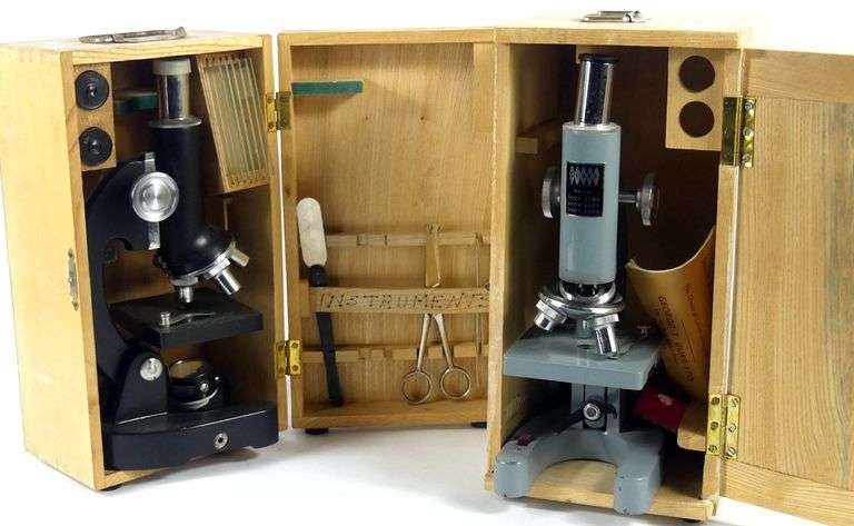 TWO MICROSCOPES