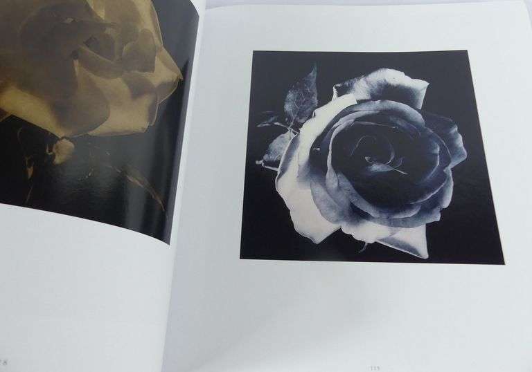 ROBERT MAPPLETHORPE ART BOOK