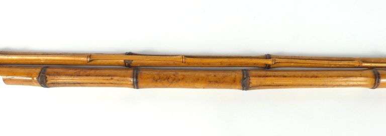BAMBOO CANE FISHING POLE