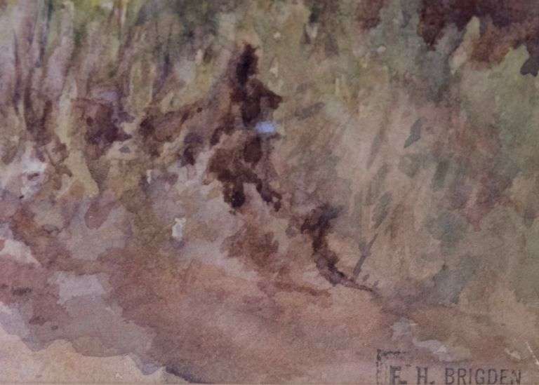 FREDERICK HENRY BRIGDEN