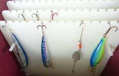 FISHING STORAGE CASE WITH 20 LURES