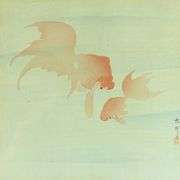 OHARA KOSON