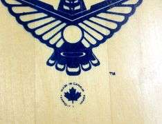 TWO CANOE PADDLES