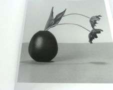 ROBERT MAPPLETHORPE ART BOOK
