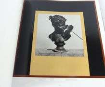 ROBERT MAPPLETHORPE ART BOOK