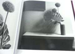 ROBERT MAPPLETHORPE ART BOOK