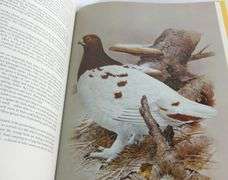 "GAME BIRDS" BY CHARLES COLES