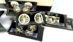 STEREOSCOPIC VIEWER & SLIDES