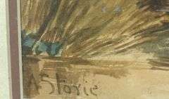 ANDREW STORIE