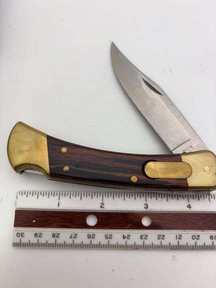 Buck 110 automatic/lockback