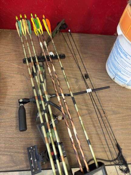 Hoyt compound bow