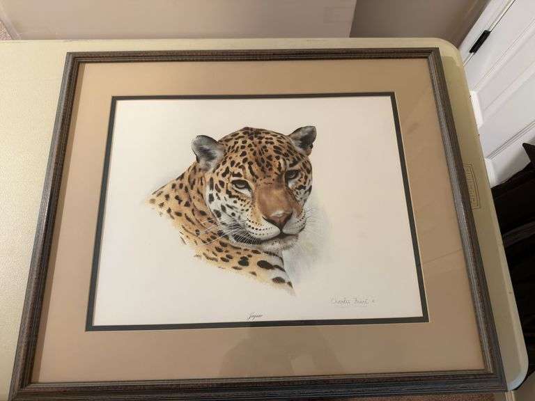Charles Fracé jaguar framed 26x22