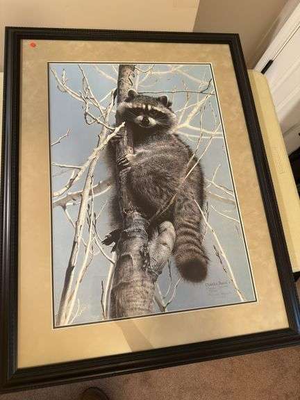 Charles fracé raccoon framed 27x35