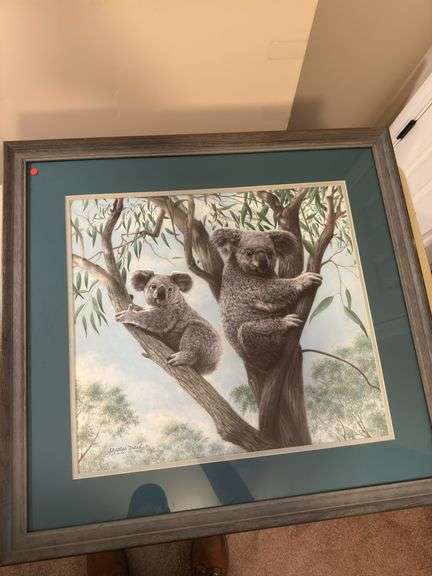 Charles fracé koala bears 21x19 framed