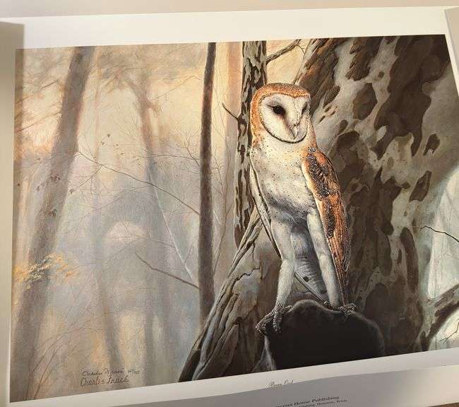 Barn owl Charles fracé print 30x23
