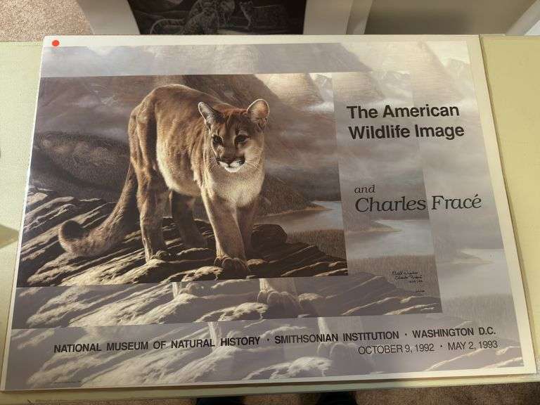 The American wildlife image Charles Fracé 31x23