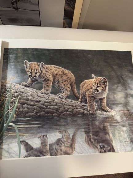 Reflections Charles Fracé 28x23