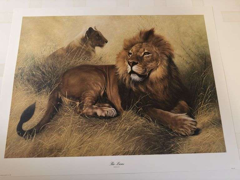 The Lions Charles Fracé 30x23