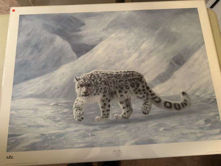 Gray ghost Charles Fracé 35x26