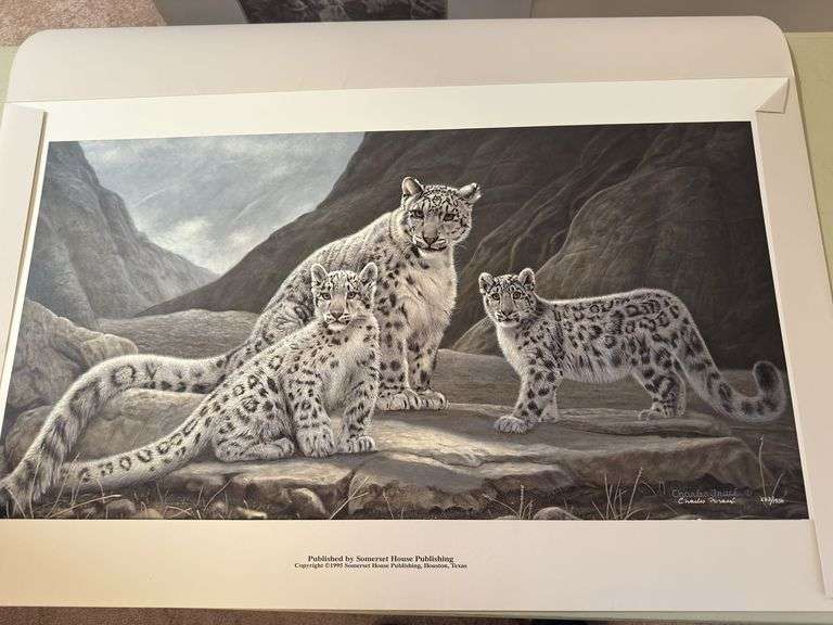 Kinship Charles Fracé 34x21