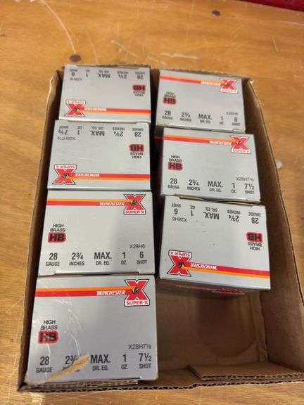 (10) boxes 28ga