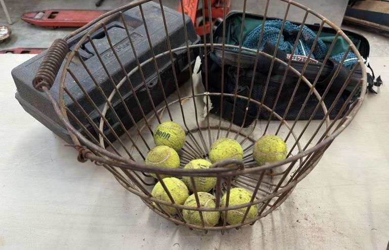 Metal Egg basket