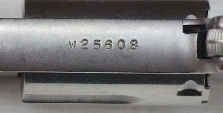 NAA Mini Revolver  22  mag