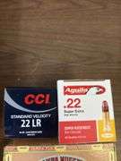 (1000) rounds 22 cal