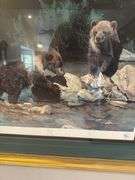 Charles francé playmates bears, Elvis print, farming kids largest 38”x32”
