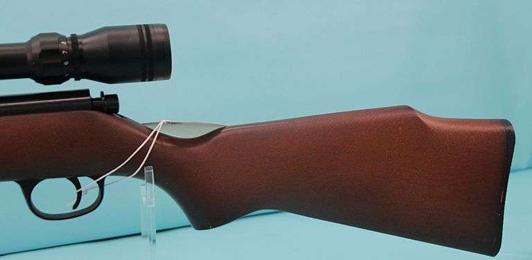 Marlin Model 25N   .22 with scope