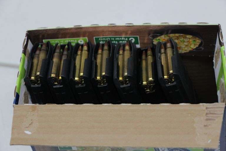 Radical Firearms RF-15   5.56 extra mags
